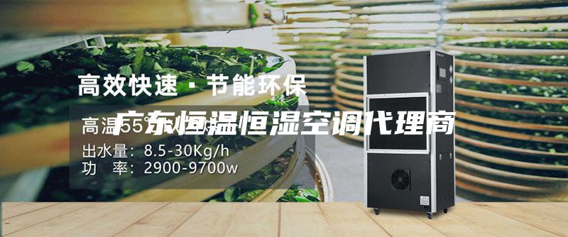 广东恒温恒湿空调代理商