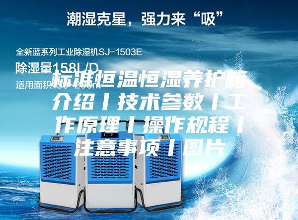 标准恒温恒湿养护箱介绍丨技术参数丨工作原理丨操作规程丨注意事项丨图片