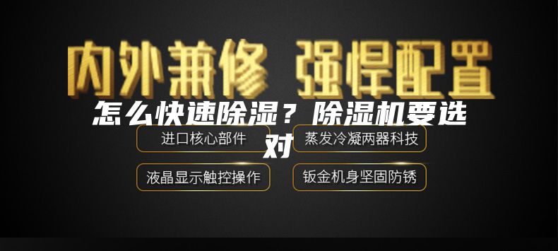 怎么快速除湿？除湿机要选对