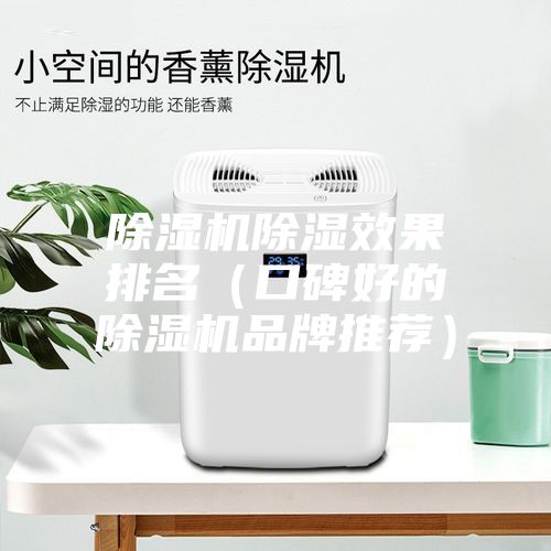 除湿机除湿效果排名（口碑好的除湿机品牌推荐）