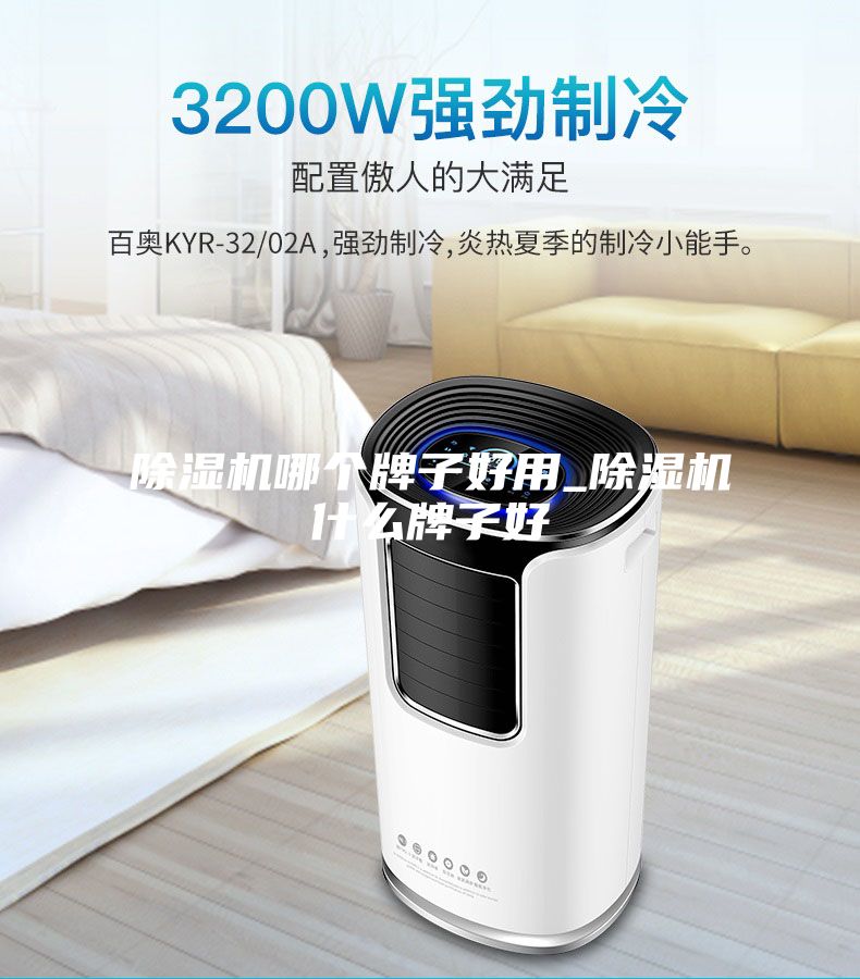 除湿机哪个牌子好用_除湿机什么牌子好