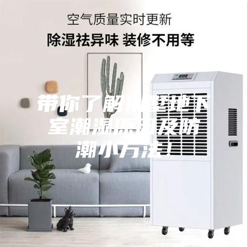 带你了解别墅地下室潮湿原因及防潮小方法！