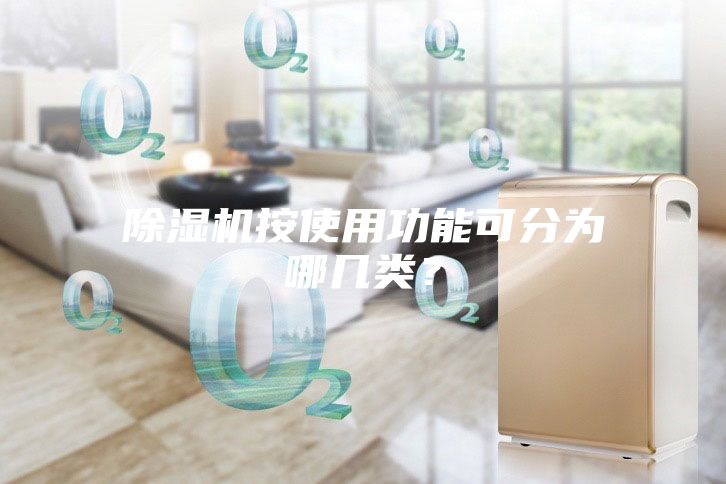 除湿机按使用功能可分为哪几类？