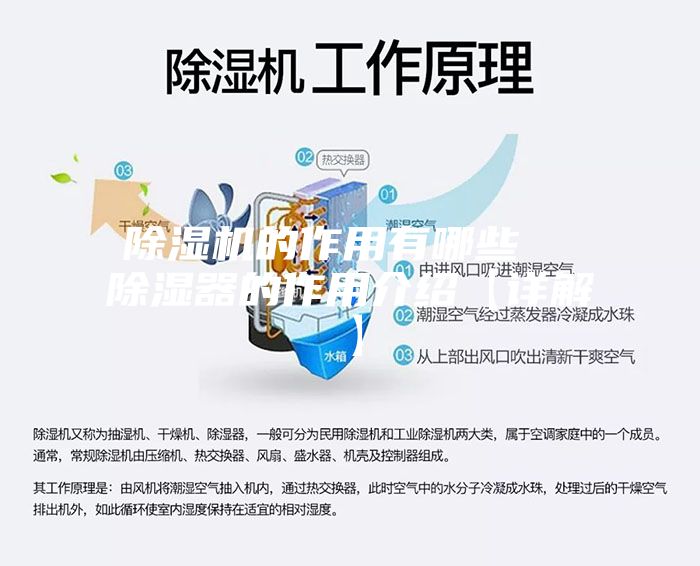 除湿机的作用有哪些  除湿器的作用介绍【详解】