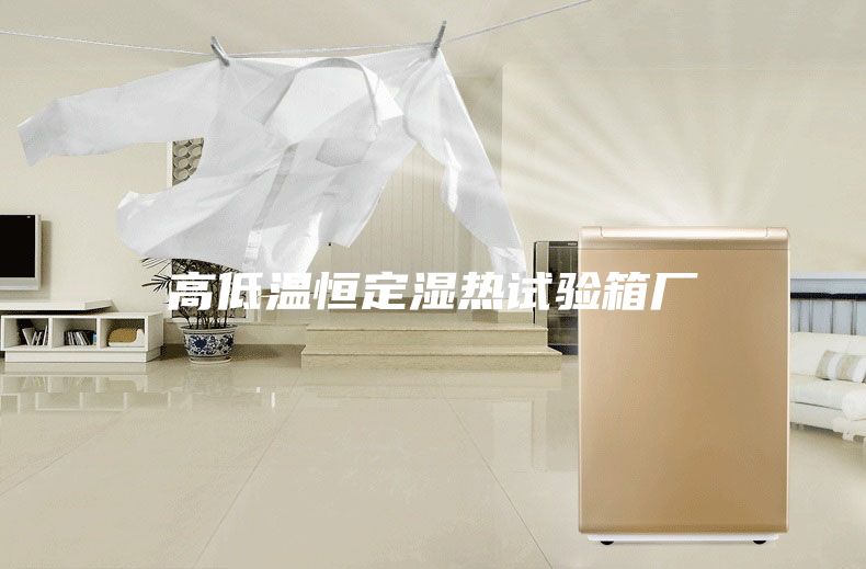 高低温恒定湿热试验箱厂