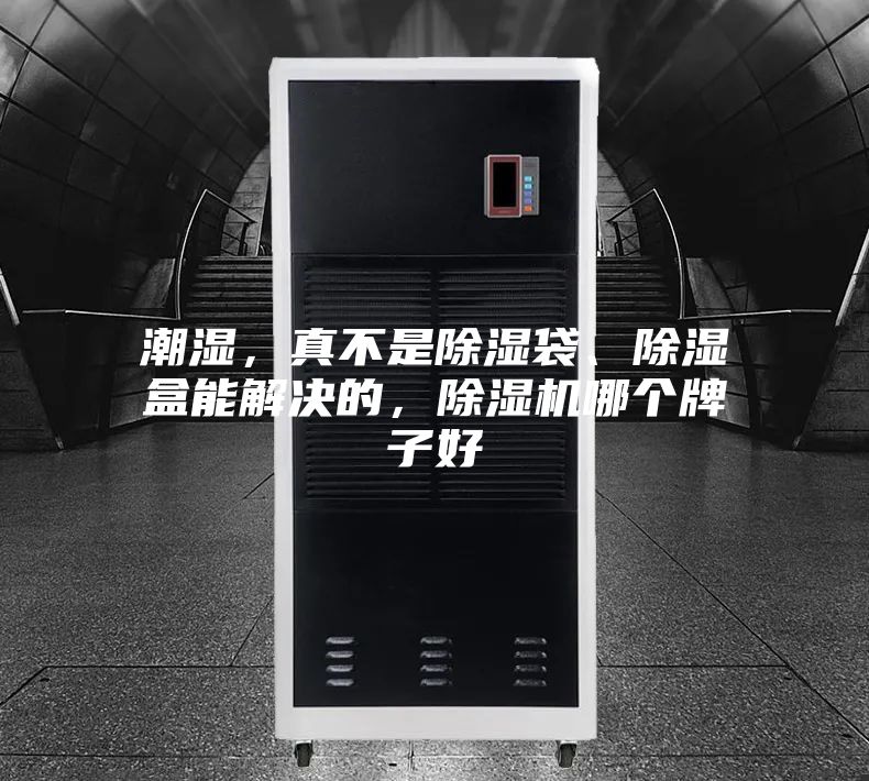 潮湿,真不是除湿袋、除湿盒能解决的,除湿机哪个牌子好