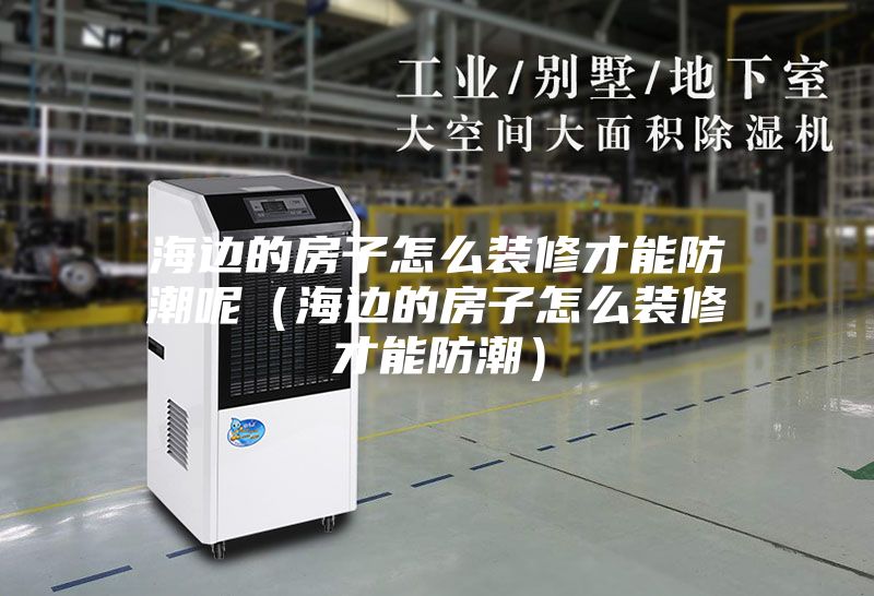 海边的房子怎么装修才能防潮呢（海边的房子怎么装修才能防潮）