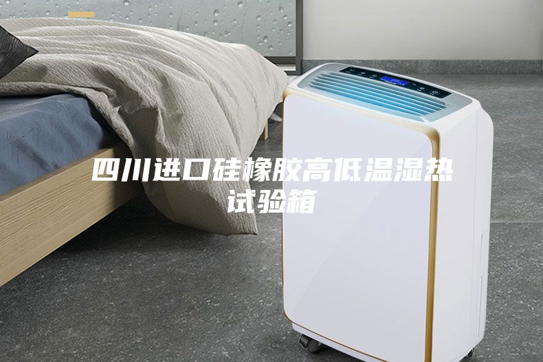 四川进口硅橡胶高低温湿热试验箱