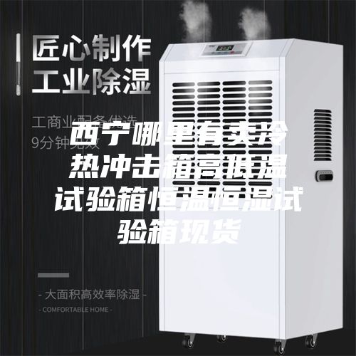 西宁哪里有卖冷热冲击箱高低温试验箱恒温恒湿试验箱现货