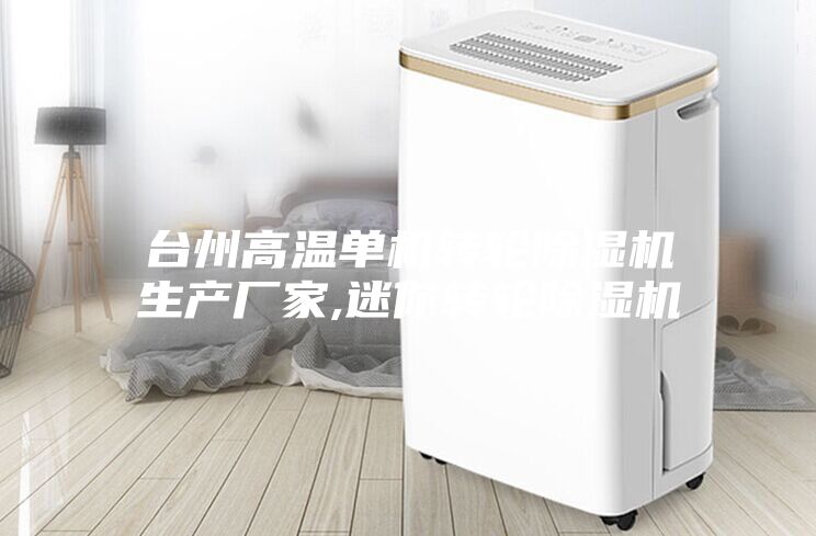 台州高温单机转轮除湿机生产厂家,迷你转轮除湿机