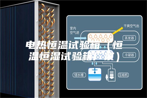 电热恒温试验箱（恒温恒湿试验箱厂家）