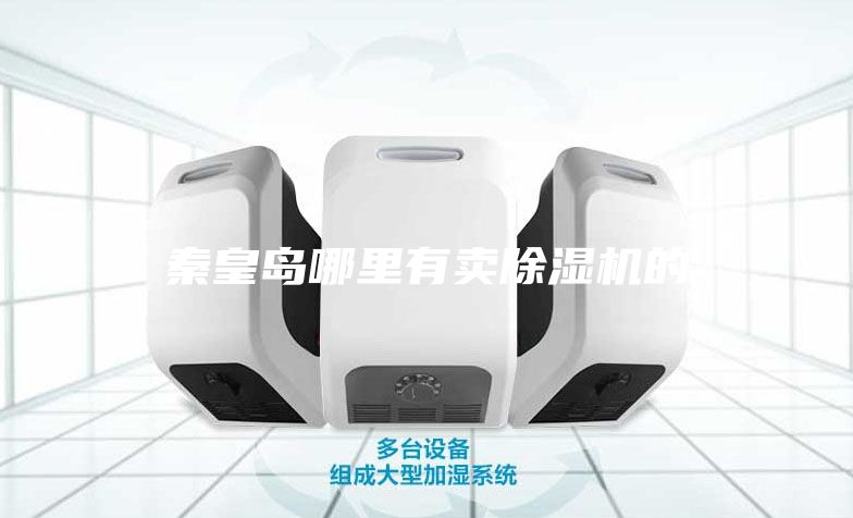 秦皇岛哪里有卖除湿机的
