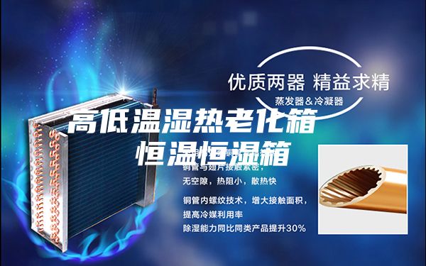 高低温湿热老化箱  恒温恒湿箱