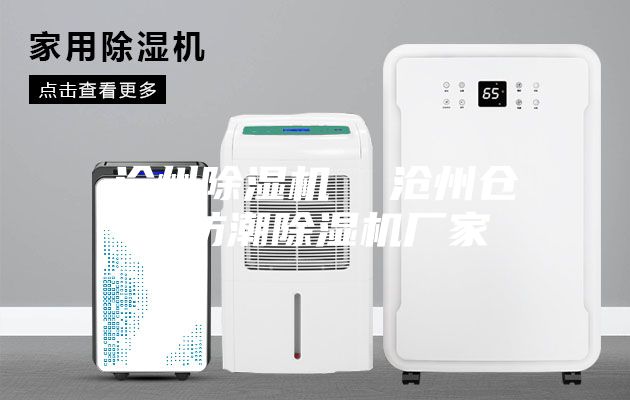 沧州除湿机  沧州仓库防潮除湿机厂家