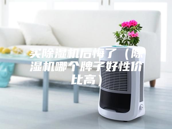 买除湿机后悔了（除湿机哪个牌子好性价比高）