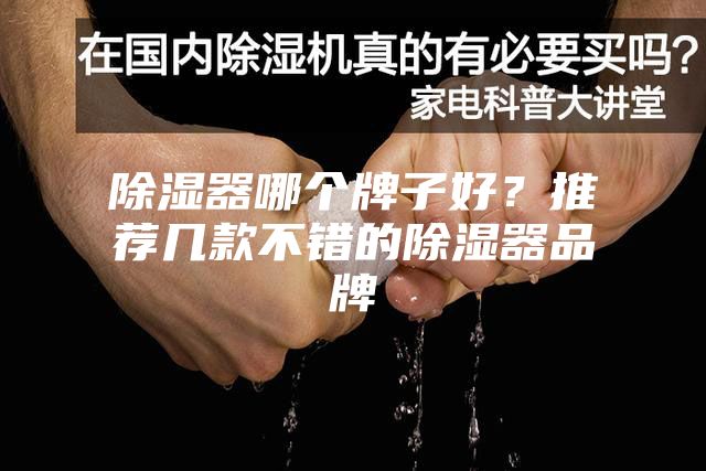 除湿器哪个牌子好？推荐几款不错的除湿器品牌