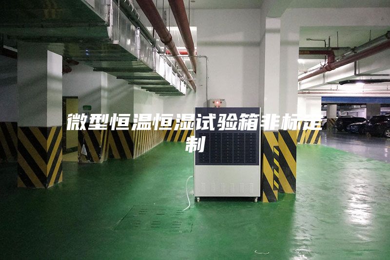 微型恒温恒湿试验箱非标定制