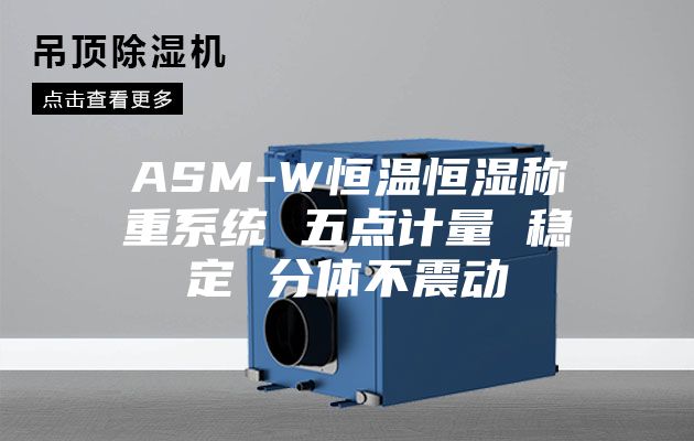 ASM-W恒温恒湿称重系统 五点计量 稳定 分体不震动