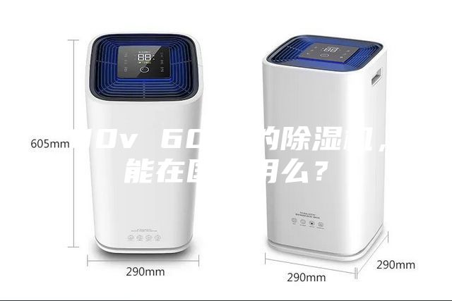 110v 60hz的除湿机，能在国内用么？