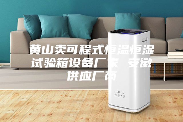 黄山卖可程式恒温恒湿试验箱设备厂家 安徽供应厂商