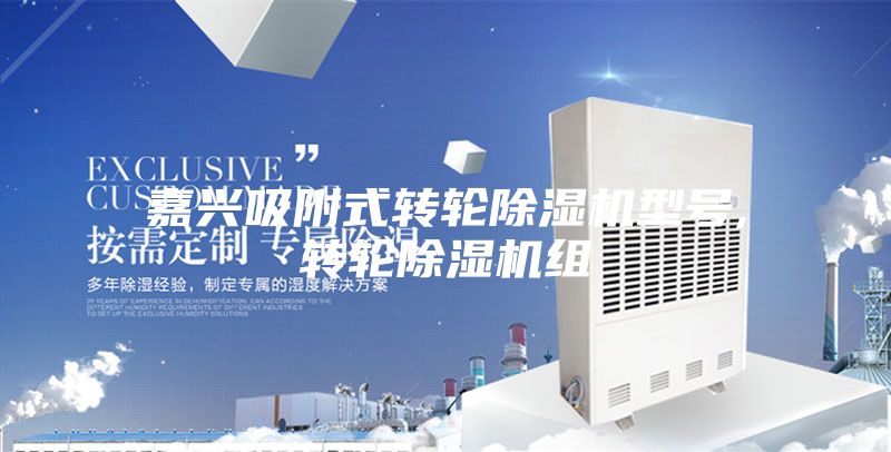 嘉兴吸附式转轮除湿机型号,转轮除湿机组
