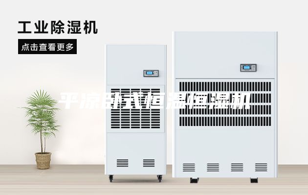 平凉卧式恒温恒湿机