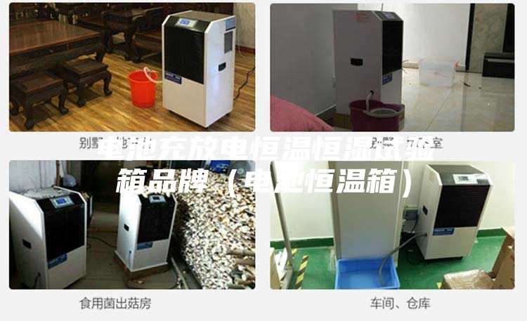 电池充放电恒温恒湿试验箱品牌（电池恒温箱）