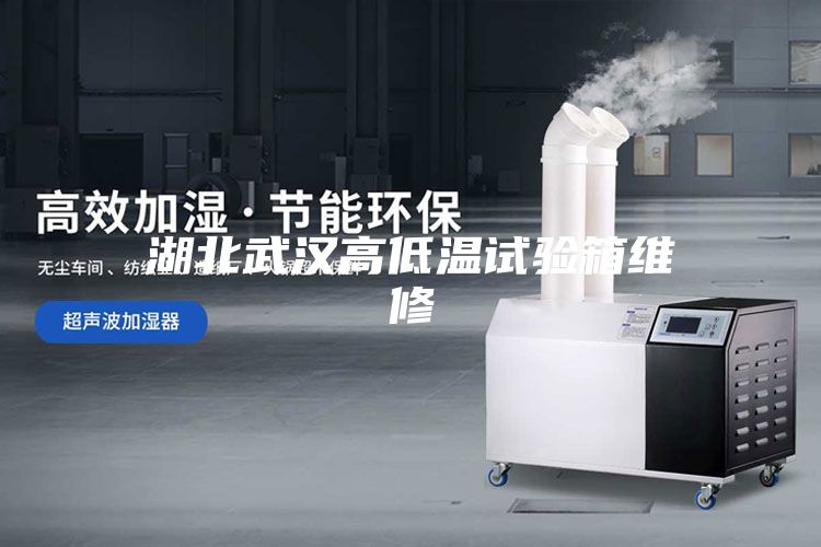 湖北武汉高低温试验箱维修