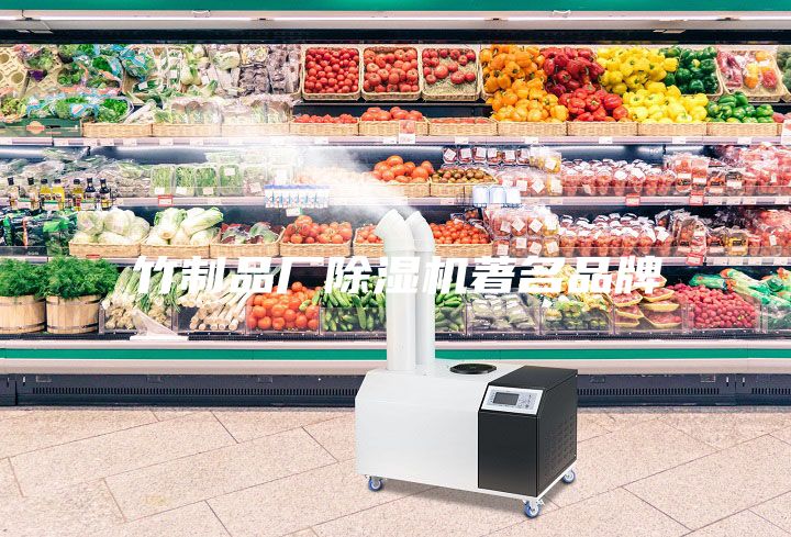 竹制品厂除湿机著名品牌
