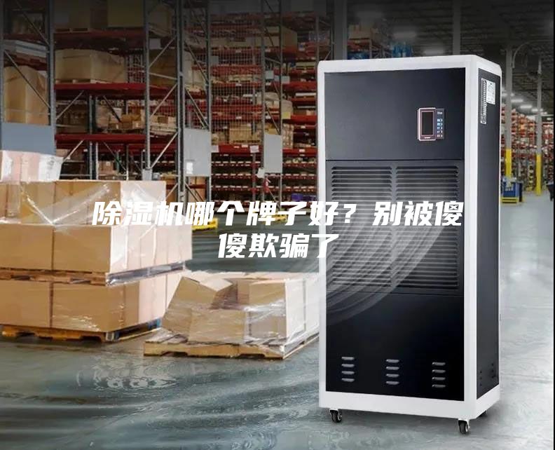 除湿机哪个牌子好？别被傻傻欺骗了