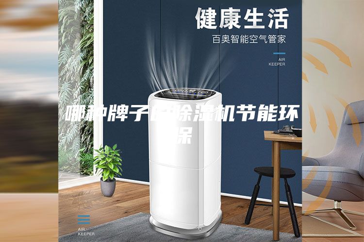 哪种牌子的除湿机节能环保