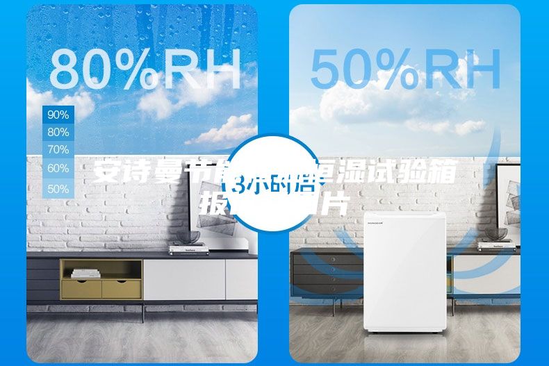 安诗曼节能恒温恒湿试验箱报价及图片