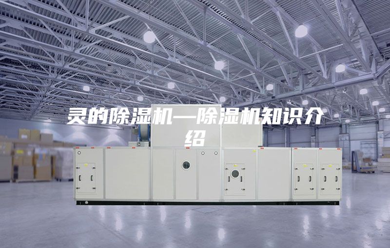 灵的除湿机—除湿机知识介绍