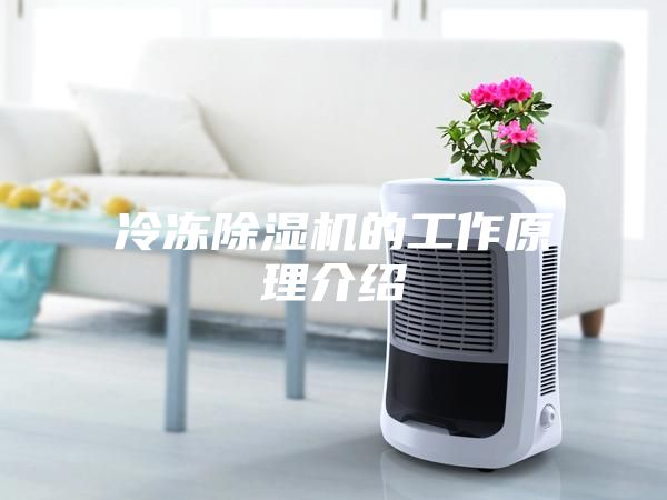 冷冻除湿机的工作原理介绍