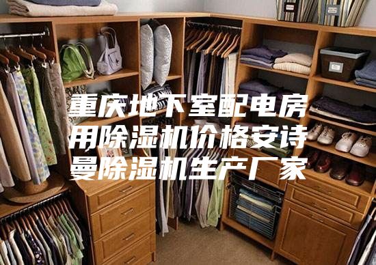 重庆地下室配电房用除湿机价格安诗曼除湿机生产厂家