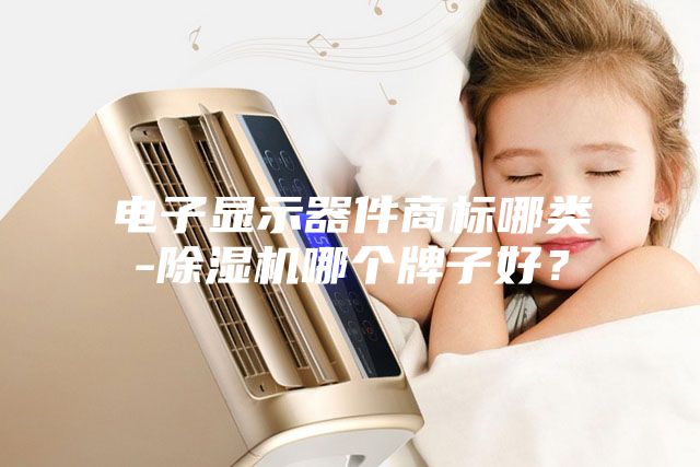 电子显示器件商标哪类-除湿机哪个牌子好？