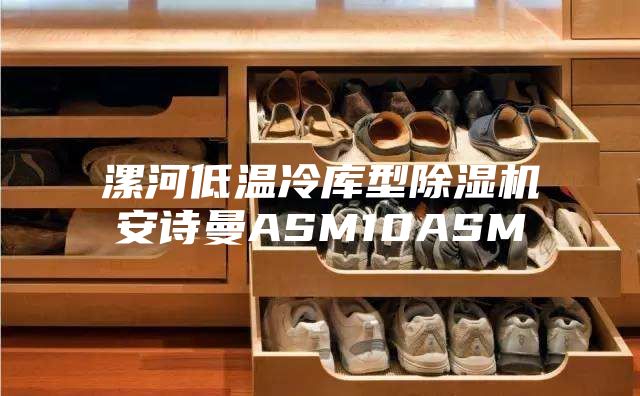 漯河低温冷库型除湿机安诗曼ASM10ASM