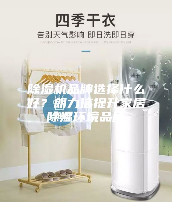 除湿机品牌选择什么好？朗力信提升家居除湿环境品质