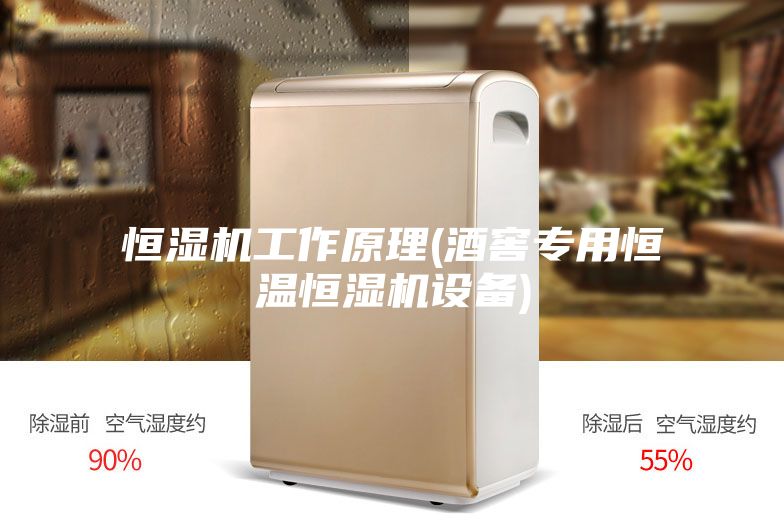 恒湿机工作原理(酒窖专用恒温恒湿机设备)