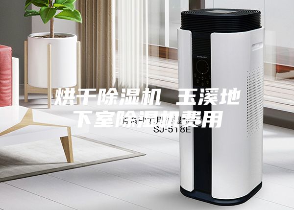 烘干除湿机 玉溪地下室除湿机费用
