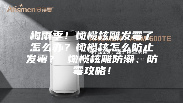 梅雨季！橄榄核雕发霉了怎么办？橄榄核怎么防止发霉？ 橄榄核雕防潮、防霉攻略！
