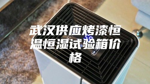 武汉供应烤漆恒温恒湿试验箱价格