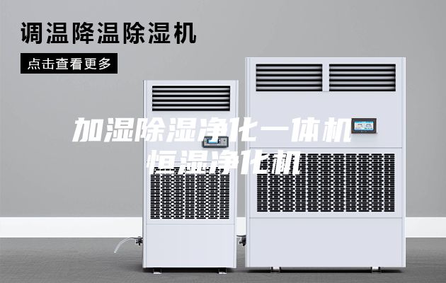 加湿除湿净化一体机 恒湿净化机