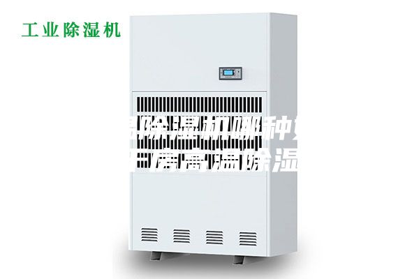 耐温除湿机哪种好 烘干房高温除湿机