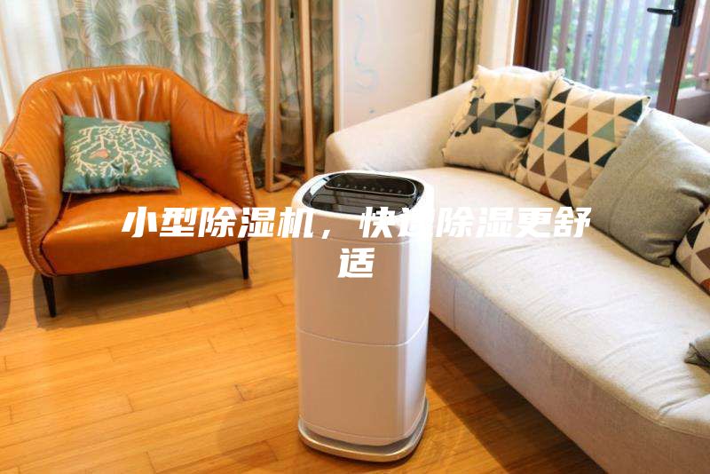 小型除湿机，快速除湿更舒适
