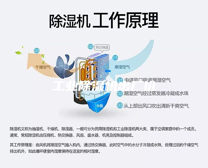 工业除湿机出厂价