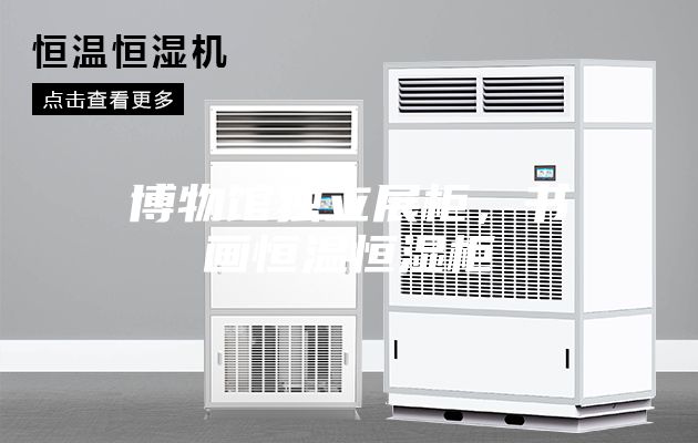 博物馆独立展柜，书画恒温恒湿柜