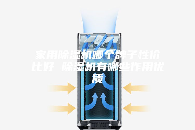 家用除湿机哪个牌子性价比好 除湿机有哪些作用优质