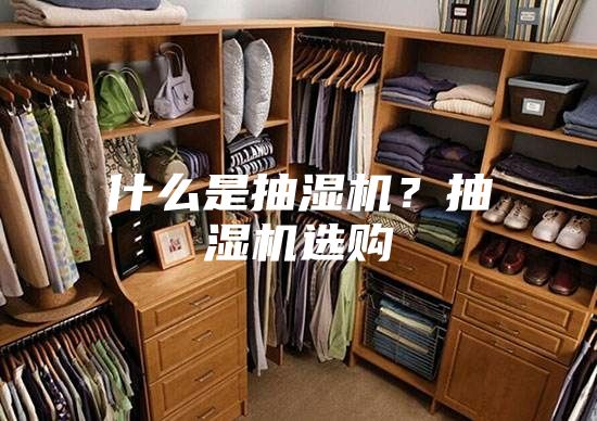 什么是抽湿机？抽湿机选购