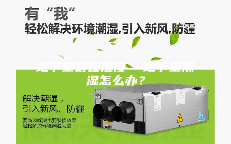 地下室最佳湿度  地下室潮湿怎么办？